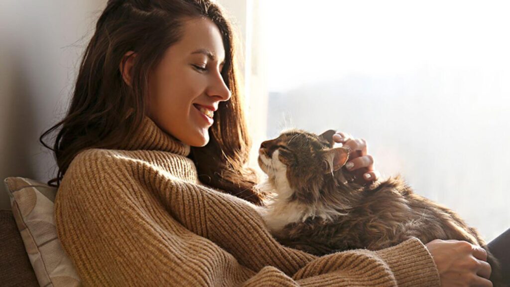 Understanding the Challenges of Pet Allergies